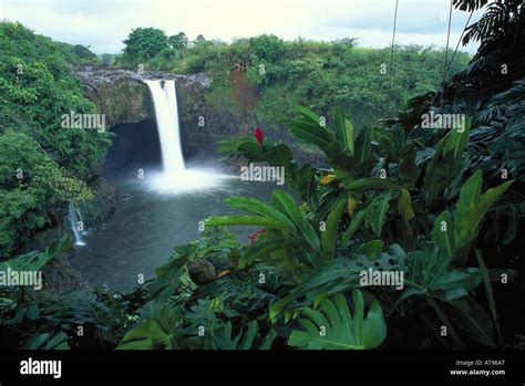 Rainbow Falls Hilo Big Island Stock Photo Alamy