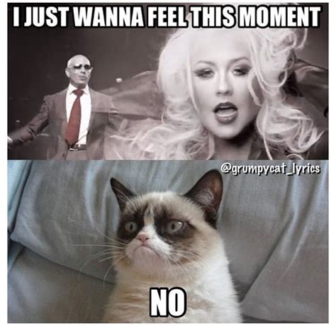Grumpy Cat Sings Feel This Moment By Pitbull Ft Christina Aguilera