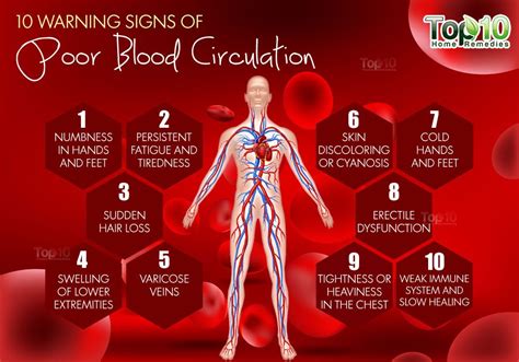 10 Warning Signs Of Poor Blood Circulation Top 10 Home Remedies