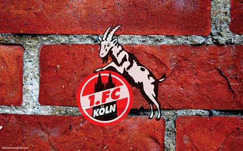 If you like watching german football league (a.k.a. 1. FC Köln wallpapers | HD Hintergrundbilder