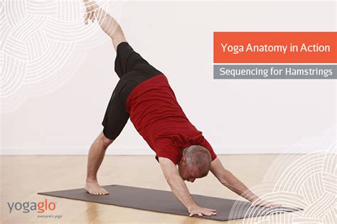 Yoga Anatomy In Action Sequencing For Strengthening Hamstrings