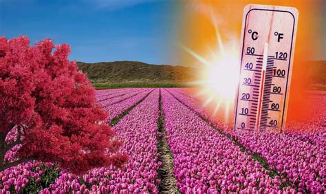 Meteo Anm Vin Temperaturi De 20 De Grade în România Când Se Vor