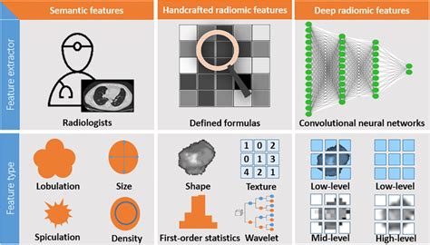 A Comparison Of Semantic Handcrafted Radiomic And Deep Radiomic Features Download Scientific