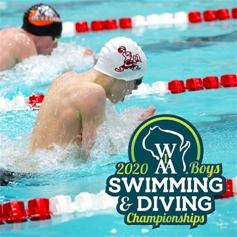 State Boys Swimming And Diving Championships Preview