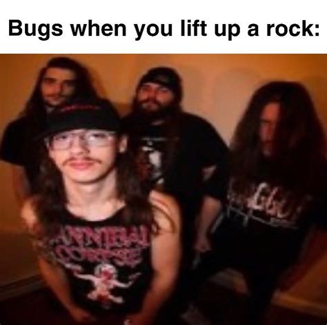 Bugs When You Lift Up A Rock Meme Bugs When You Lift Up A Rock