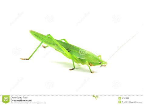 Mitcham cricket green ⭐ , united kingdom, london, merton: Green Cricket Stock Photography - Image: 32961082