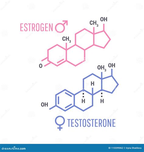 Sex Hormones Molecular Formula Stock Vector Illustration Of Health Male 115599062