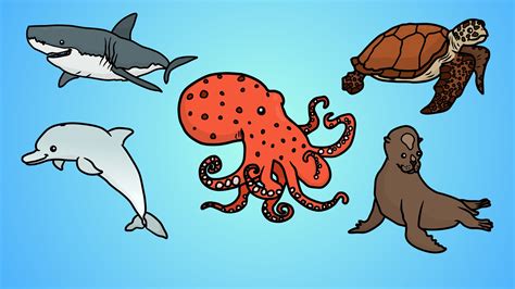Ocean Animals Drawing At Getdrawings Free Download