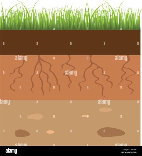 Cartoon Vector Illustration Of Soil Layers Stock Vector Image And Art Alamy