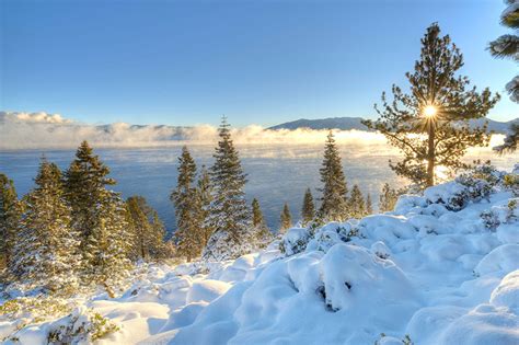 Fotos Kalifornien Vereinigte Staaten Lake Tahoe Sierra Nevada Natur