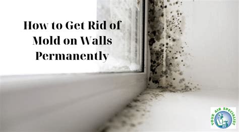 For more porous surfaces, like drywall. How to Get Rid of Mold on Walls Permanently? | Your Air ...