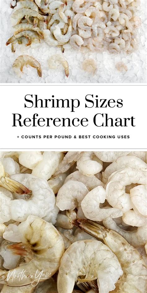 Shrimp Sizes A Handy Guide For Cooking