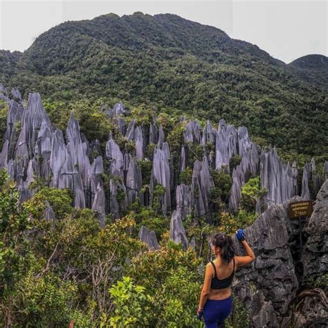 Do You Know Rm100 Background Is Gunung Mulu National Park Which Can Be