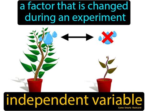 Independent Variable Definition A Factor That Is Changed During An