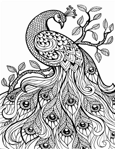 Peacock Aesthetic Coloring Pages - Free Printable Coloring Pages