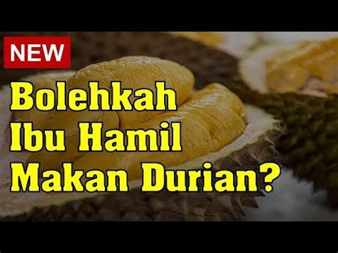 Banyak yang percaya bahwa minum kopi setelah makan durian adalah hal yang harus dihindari. Bolehkah Ibu Hamil Makan Durian? - YouTube