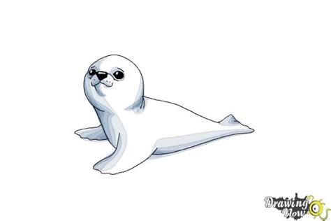 How To Draw A Baby Seal Drawingnow