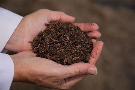 Human Composting Offered By Seattle Company Under New Washington Law