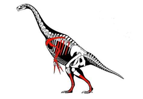 10 Clawed Facts About Therizinosaurus Mental Floss
