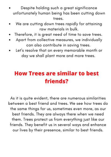 Trees Are Our Best Friends Essay To Must Read In 2024
