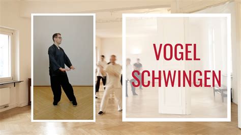 Qi gong die 18 übungen für anfänger. Vogelschwingen - Tai Chi / Qi Gong Übung für Anfänger ...
