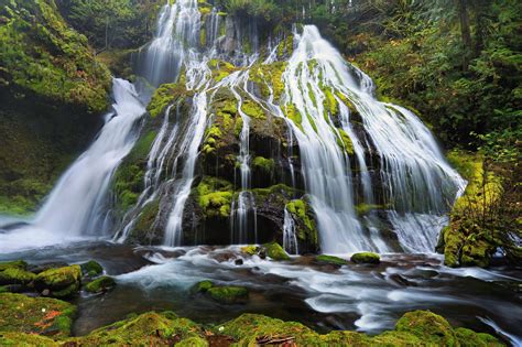 nature, Waterfall, Water, River, Forest Wallpapers HD / Desktop and Mobile Backgrounds