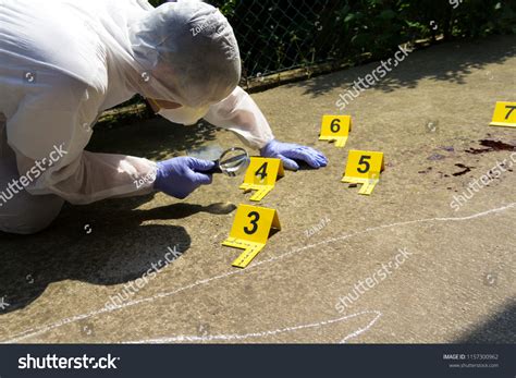 Forensic Expert Collects Evidence Crime Scene Stock Photo Edit Now