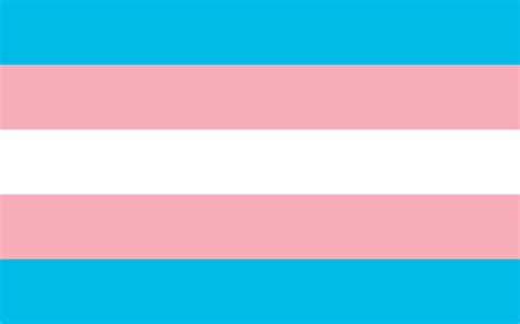 Banderas Del Orgullo De Identidad Sexual Conjunto De S Mbolos Lgbt My