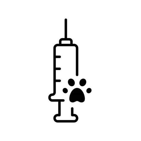 7800 Perro Vacuna Ilustraciones Gráficos Vectoriales Libres De