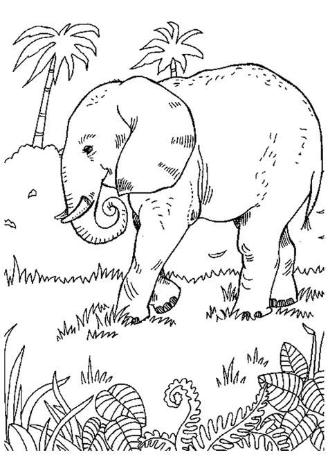 Coloriage Elephant Savane Sur