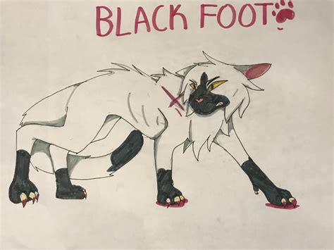 Blackfoot Warrior Cats