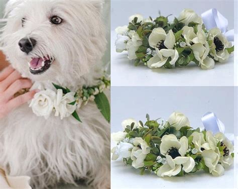 Bellasbloomstudio In 2020 Wedding Dog Collar Wedding Collars Dog