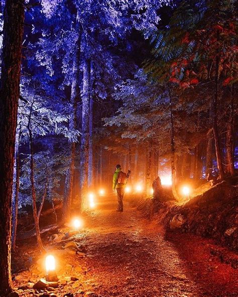 You Can Take A Magical Walk Through A 15 Km Forest Trail Of Lights In