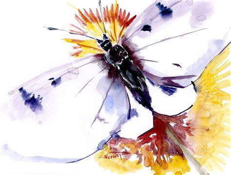 Pin On Watercolor Insects