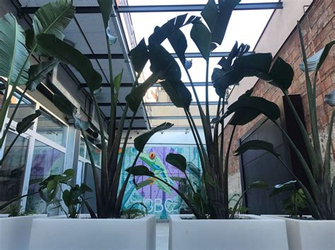 Terraza urbana con fuentes y detalles de forja. Terrazas Con Fuentes / Foto: Contruccion de Terrazas con ...