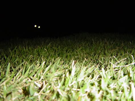 Night Grass Field Free Photo Download Freeimages