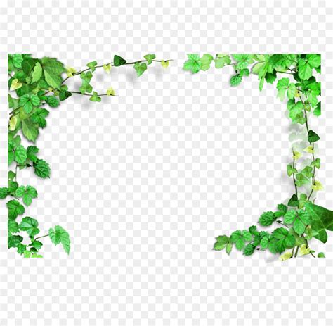 Ivy Border Clipart Rectangle And Other Clipart Images On