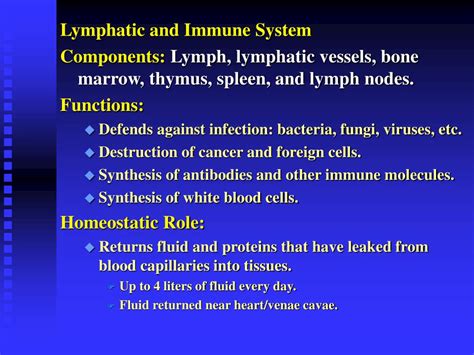 Ppt Chapter 24 The Immune System Powerpoint Presentation Free