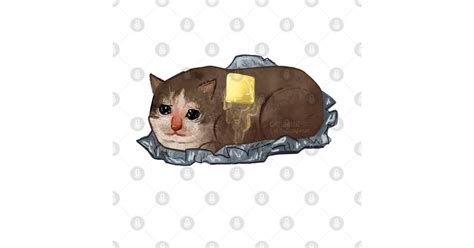 I Am Potato Sad Cat Sad Cat T Shirt Teepublic