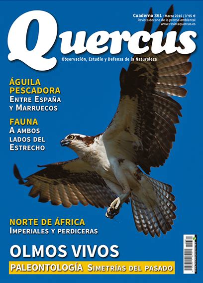 Revista Quercus 361