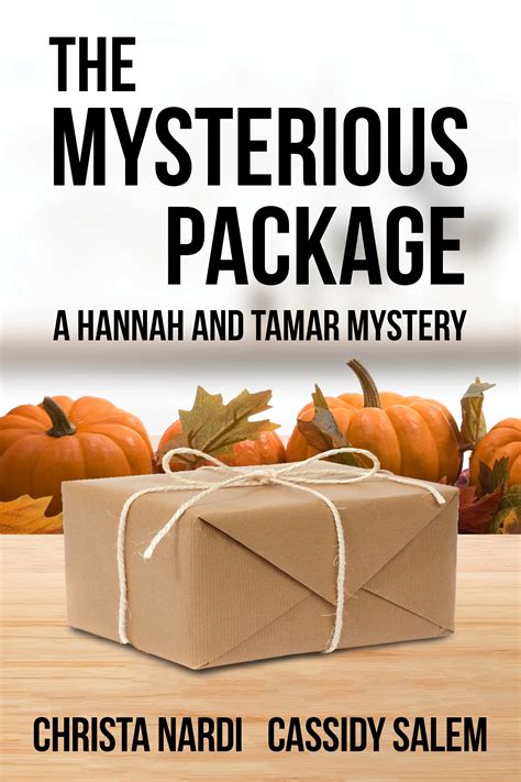 Featured Book The Mysterious Package By Christa Nardi