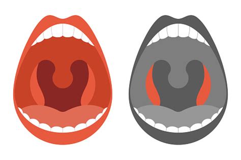 Tonsils Vector Cartoon Simple Illustration Isolated On A White