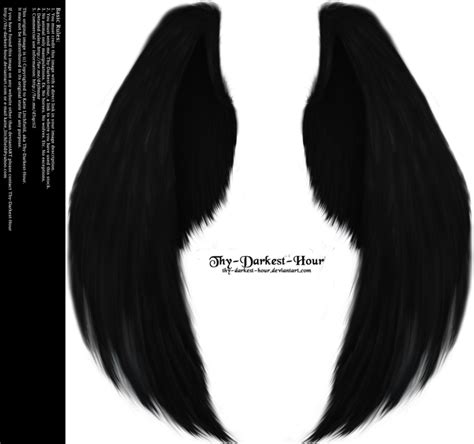 An Image Of Black Angel Wings With Long Straight Hair On The Sides And