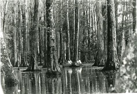 Cypress Gardens Photography Collection Historic Charleston Foundation