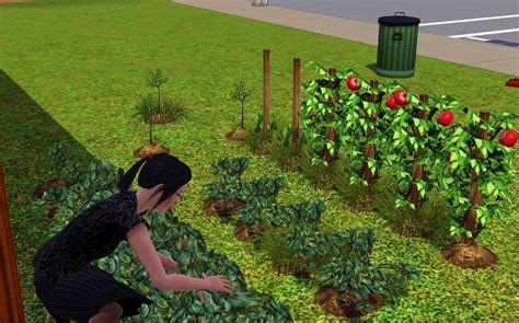 How To Get A Garden In Sims 3 Mod The Sims The Perfect Garden Updated