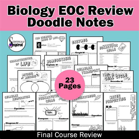 Check spelling or type a new query. BUNDLE: Biology EOC Doodle Notes Final Review | Biology ...