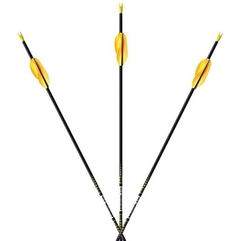 Easton X10 Arrow Shafts — Canada Archery Online