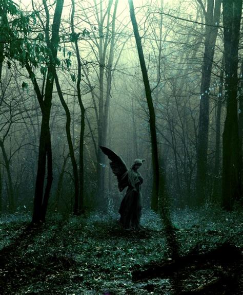 Angel Statue In The Forest Let Your Soul Glow Pinterest