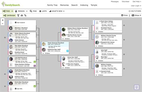 With the help of this freeware you can create a. The 6 Best Family Tree Software Programs for Genealogy ...