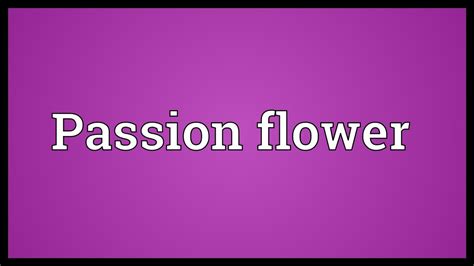 Passion Flower Meaning Youtube